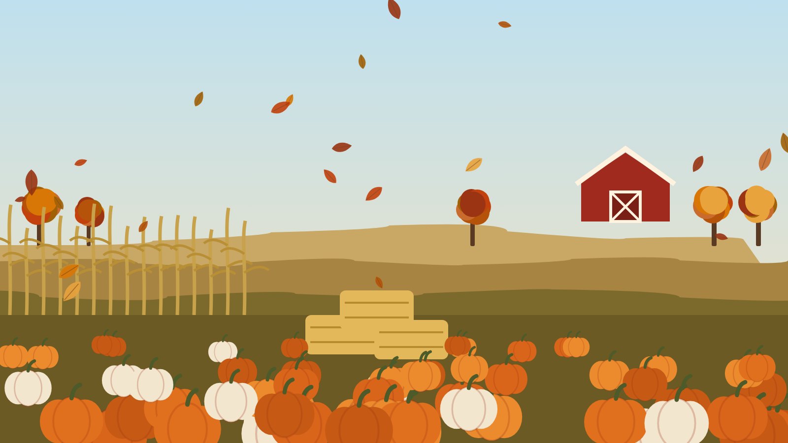 Illustration of a pumpkin patch with hay bales, corn stalks and a red barn